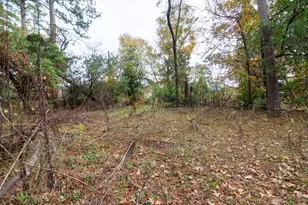 24510 Pine Canyon Dr, Spring, TX 77380 - Photo 8