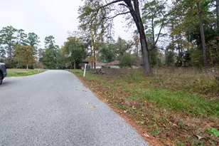 24510 Pine Canyon Dr, Spring, TX 77380 - Photo 4