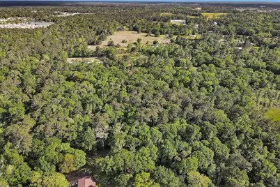 15700 Ben Wiggins, Conroe, TX 77303 - Photo 6