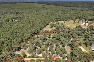 1130 Salem Church Rd, Willis, TX 77378 - Photo 42