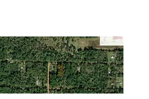 930 Josephine Rd, Livingston, TX 77351 - Photo 1