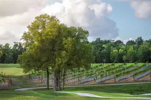 10271 Bluegill Crst Dr, Willis, TX 77318 - Photo 32