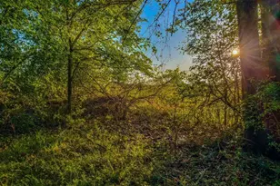 13774 Midway Dr, Willis, TX 77318 - Photo 2