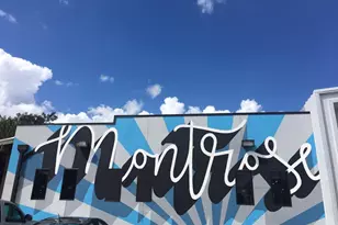 1632 Bonnie Brae St, Houston, TX 77006 - Photo 38