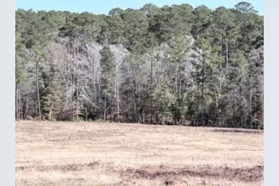 2878 Fm 256 N, Woodville, TX 75979 - Photo 26