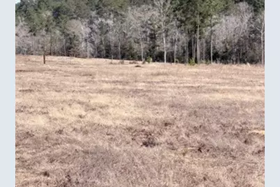2878 Fm 256 N, Woodville, TX 75979 - Photo 34