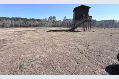 2878 Fm 256 N, Woodville, TX 75979 - Photo 22