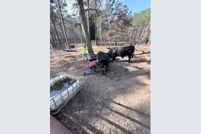 2878 Fm 256 N, Woodville, TX 75979 - Photo 10