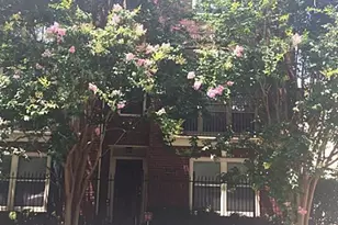 4100 Blossom St, Houston, TX 77007 - Photo 2