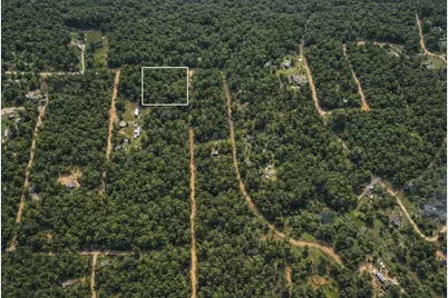 00 Glenn Campbell Road, Livingston, TX 77351 - Photo 6