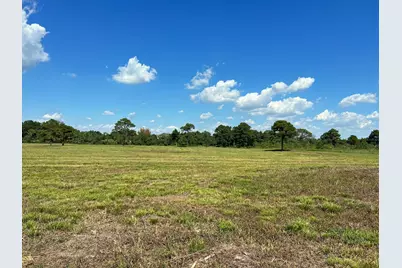 000 County Road 203, Liverpool, TX 77577 - Photo 14