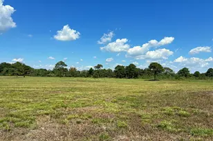 000 County Road 203, Liverpool, TX 77577 - Photo 14