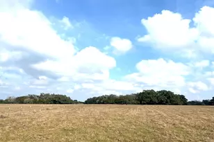 Tbd 20 Acres Cat Spring Rd, Cat Spring, TX 78933 - Photo 8