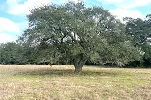 Tbd 20 Acres Cat Spring Rd, Cat Spring, TX 78933 - Photo 4