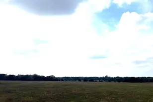 Tbd 20 Acres Cat Spring Rd, Cat Spring, TX 78933 - Photo 10