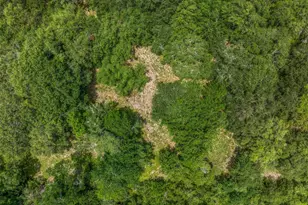 18645 Pickens Rd, Washington, TX 77880 - Photo 22