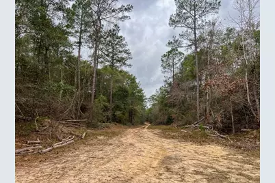 T-3 Highway 190, Newton, TX 75966 - Photo 14