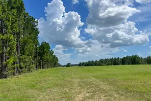T-22A State Hwy 94, Groveton, TX 75845 - Photo 1