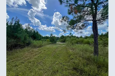 T-22A State Highway 94, Groveton, TX 75845 - Photo 4