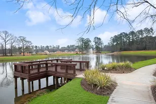 277 Stalwart Hl Trl, Magnolia, TX 77354 - Photo 46