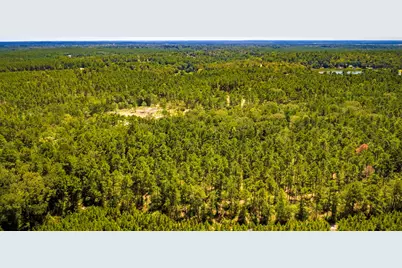 Tbd E Lakeview Drive, Trinity, TX 75862 - Photo 24