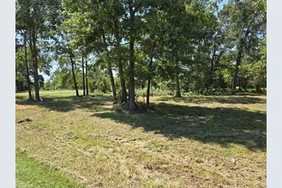 Lot 3 Fm 980 S, Point Blank, TX 77364 - Photo 6