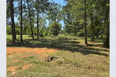 Lot 3 Fm 980 S, Point Blank, TX 77364 - Photo 4