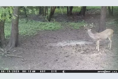 98 County Road 4019A, Dayton, TX 77535 - Photo 26