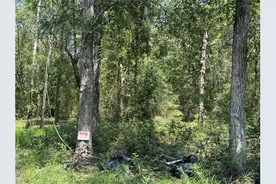 19959 Old Highway 105, Cleveland, TX 77328 - Photo 4