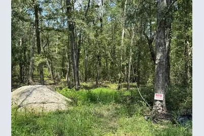 19959 Old Highway 105, Cleveland, TX 77328 - Photo 6