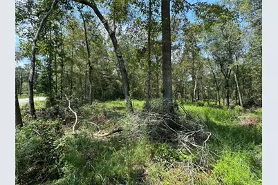 19959 Old Highway 105, Cleveland, TX 77328 - Photo 8