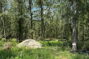 19959 Old Hwy 105, Cleveland, TX 77328 - Photo 2