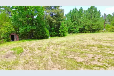 7365 Fm 2022 N, Grapeland, TX 75844 - Photo 10