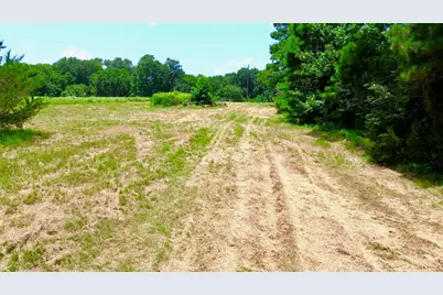7365 Fm 2022 N, Grapeland, TX 75844 - Photo 20