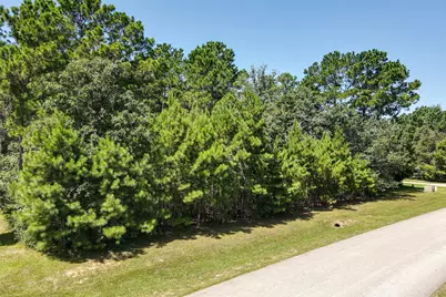 26095 Crown Ranch Boulevard, Montgomery, TX 77316 - Photo 2