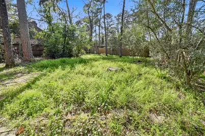 19 Still Glen Court, The Woodlands, TX 77381 - Photo 26