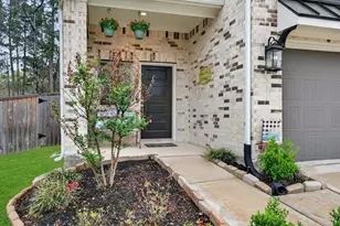 316 Mullins Ct, Montgomery, TX 77316 - Photo 8