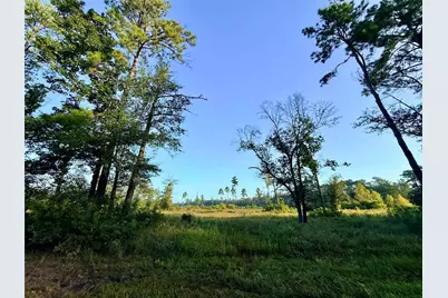 000 Fm 1003, Kountze, TX 77625 - Photo 2