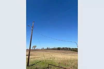 0 County Road 2235, Grapeland, TX 75844 - Photo 4