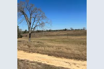0 County Road 2235, Grapeland, TX 75844 - Photo 8