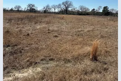 0 County Road 2235, Grapeland, TX 75844 - Photo 10