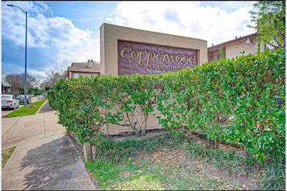 8323 Jorine Drive #8323, Houston, TX 77036 - Photo 16