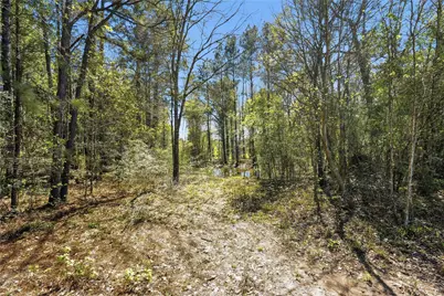 27390 Fm 1097 West, Montgomery, TX 77356 - Photo 12