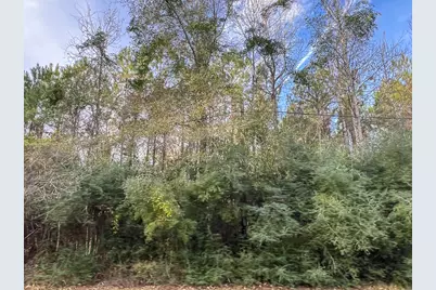 10 Fm 787, Saratoga, TX 77585 - Photo 4