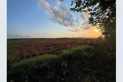 Tbd Cr 343 Harter Road, Blessing, TX 77419 - Photo 2