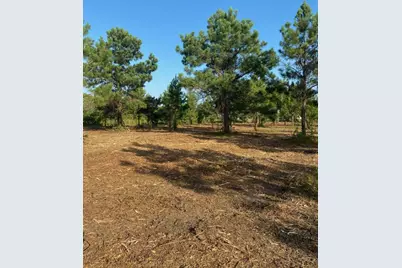 5510 County Road 602, Dayton, TX 77535 - Photo 2