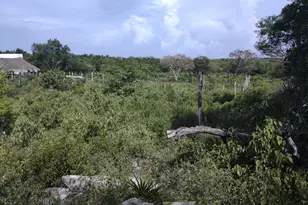 0 Hwy 307, , NC None - Photo 14