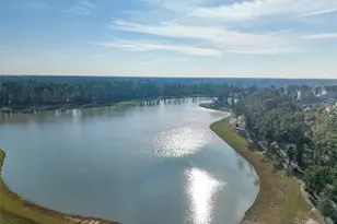 21335 Sierra Point Ln, Porter, TX 77365 - Photo 28