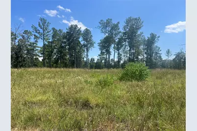Tbd 3 3152 Road, Livingston, TX 77351 - Photo 8