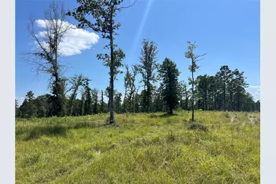 Tbd 3 3152 Road, Livingston, TX 77351 - Photo 16